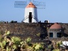 cactus_garden_lanzarote_01