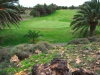 golf_course_costa_teguise_in_lanzarote_6